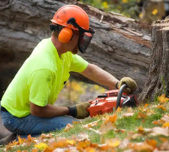 tree services Salemburg